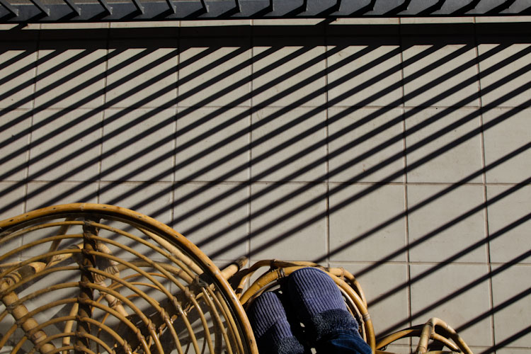 When you see these shadows you know it's going to be a good day.