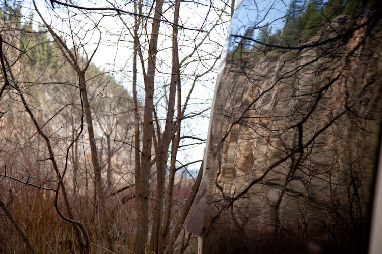 Too ways to look at trees in Rifle, CO.